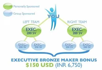 Talk fusion Binary Compensation Plan 2011